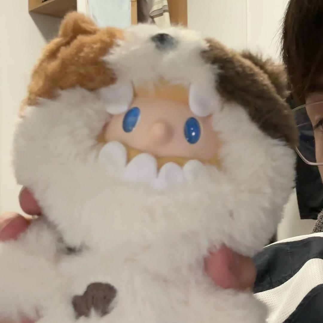 屁屁欧欧
