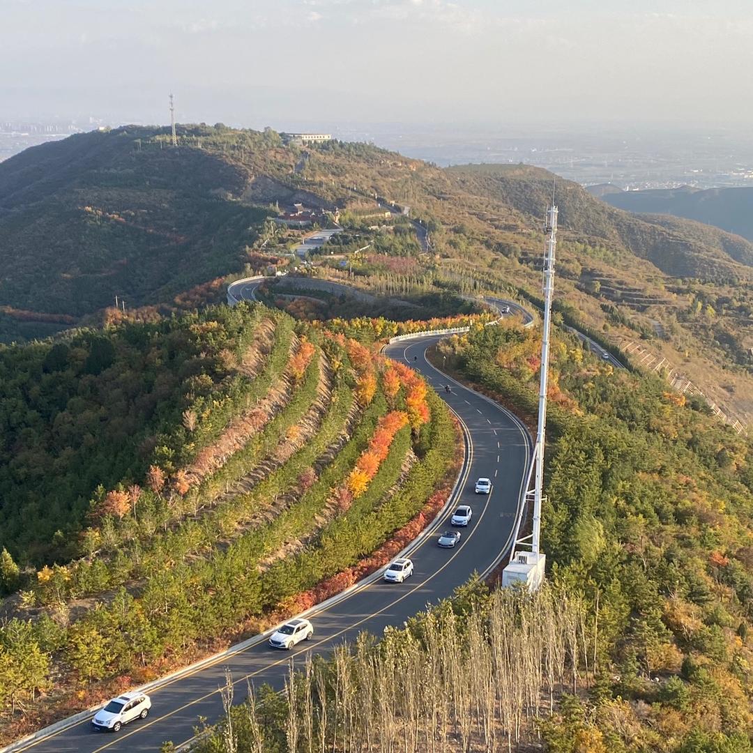 稚风（小志）