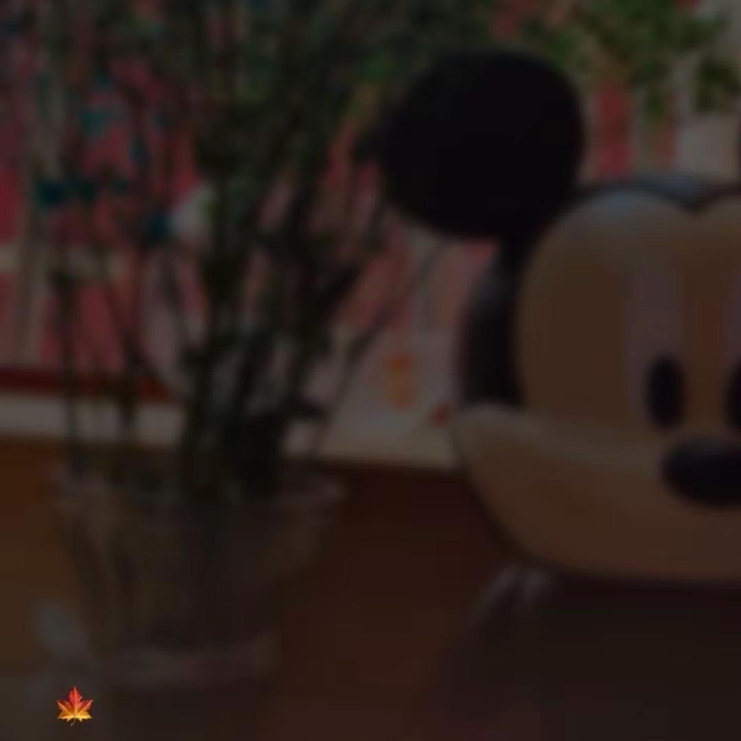 ࿐丹～🪷