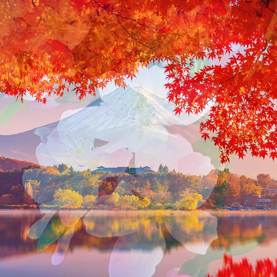 映辉同行