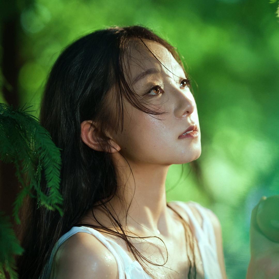 大树📷（三亚）