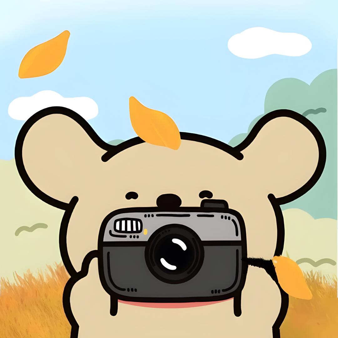 小灰灰