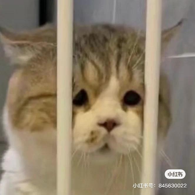 溜溜球大王
