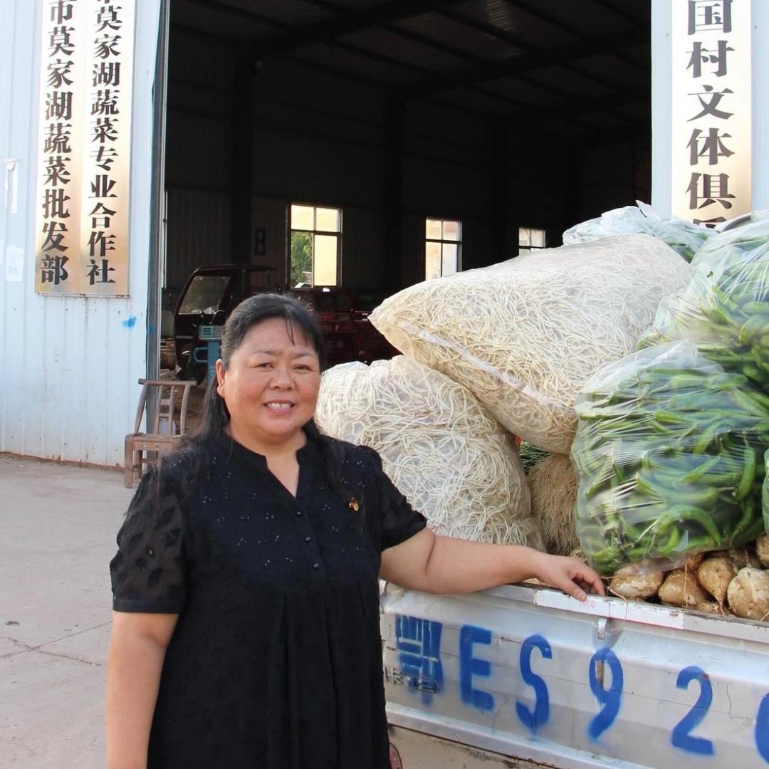 莫家湖蔬菜专业合作社