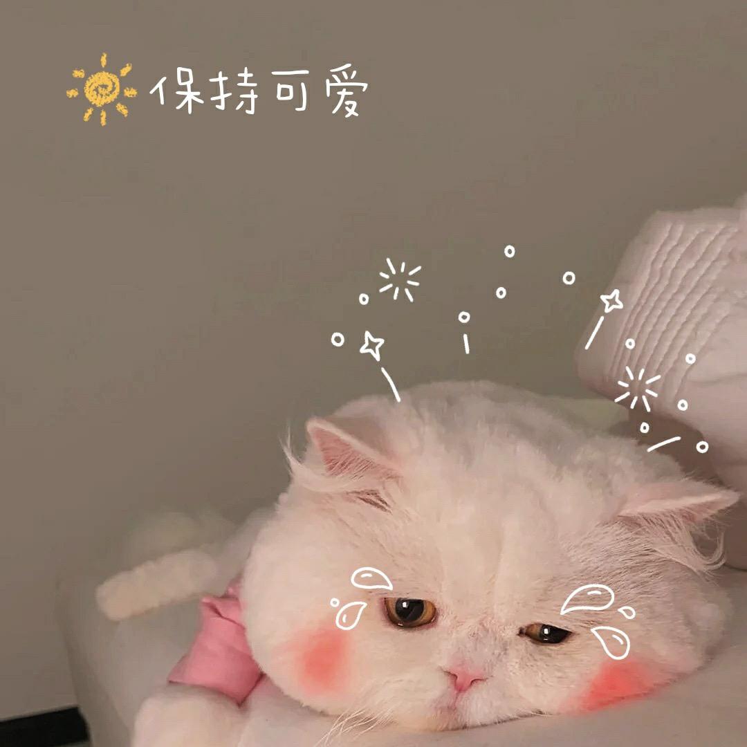 ♒钞票好多张   女士