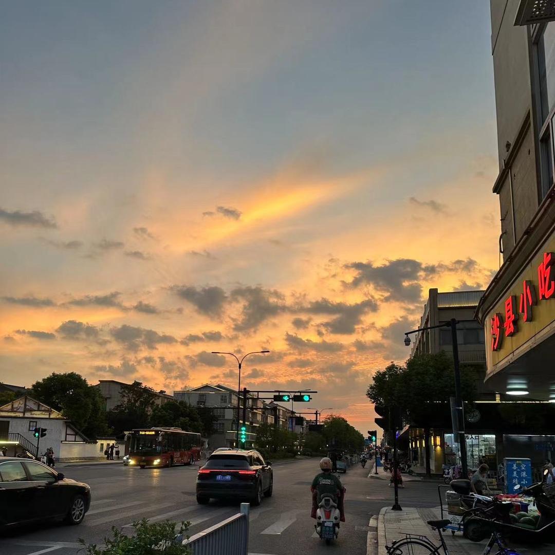 保护我方鲸鱼🐳