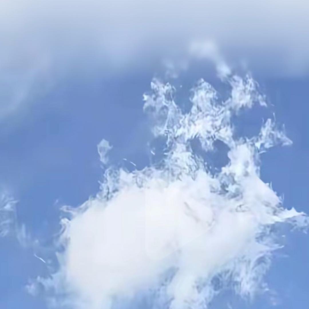 🐴天魁