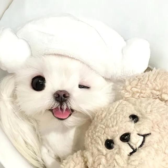 yy