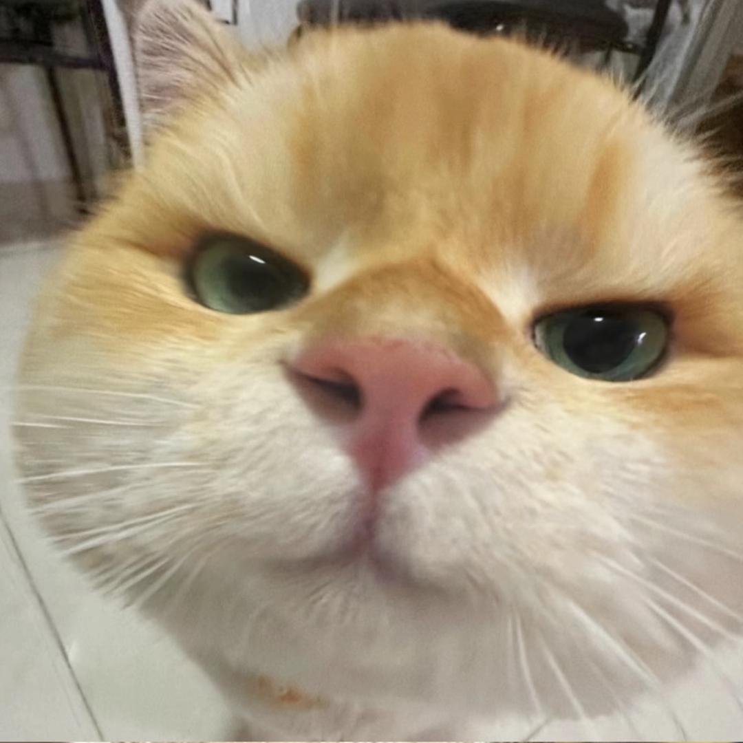 忧郁的绝世帅哥