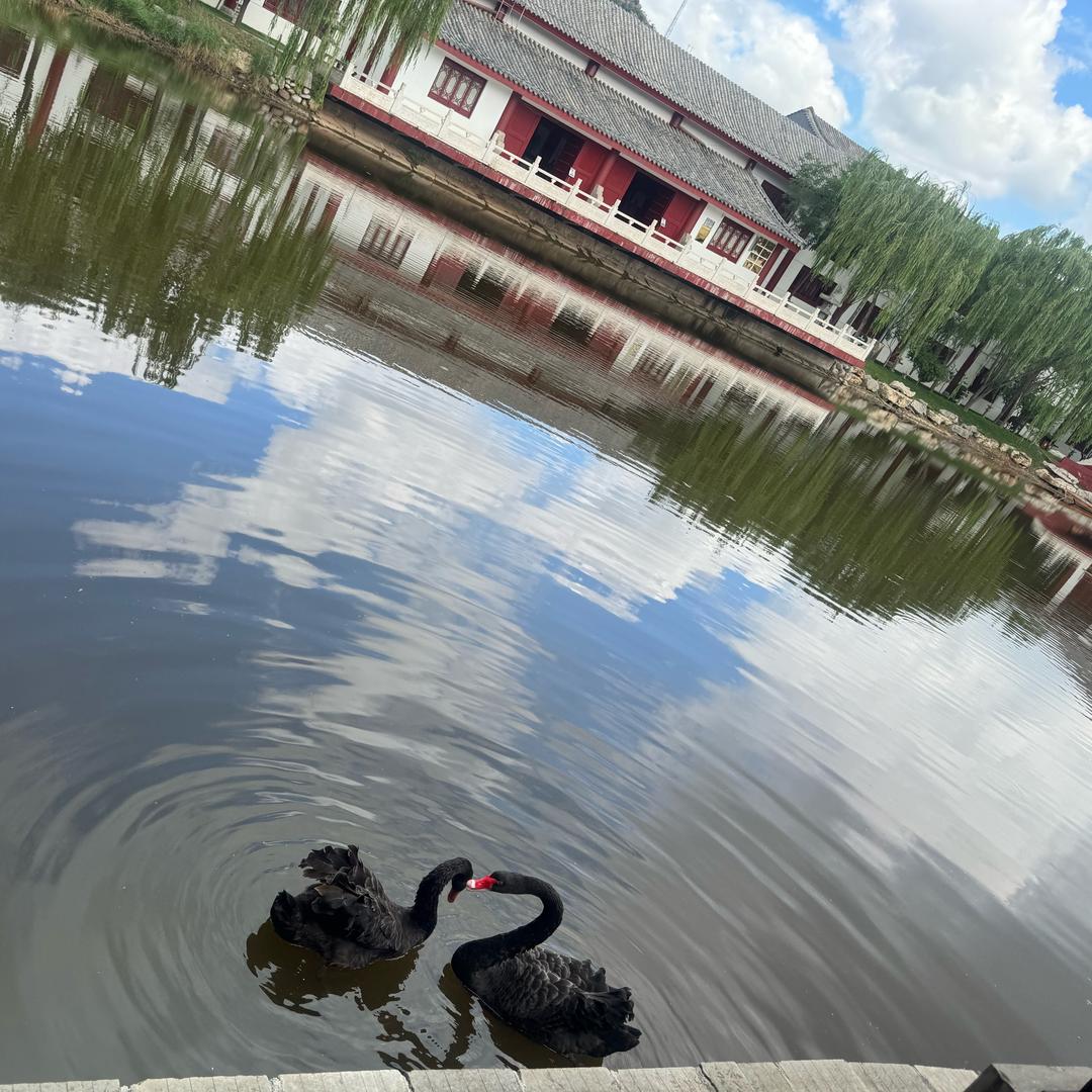 青色月光_