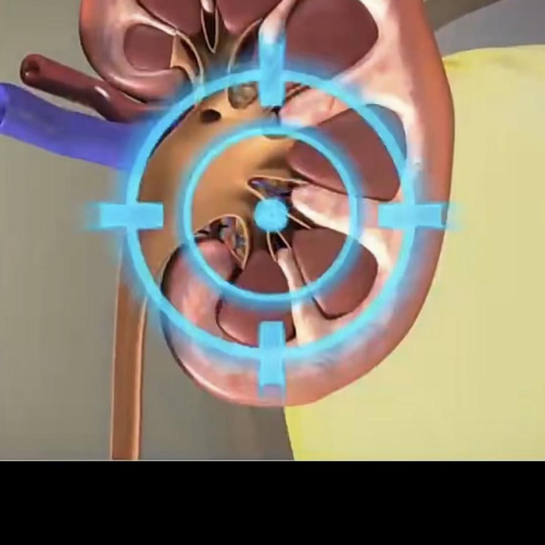 秦皇岛仁和任