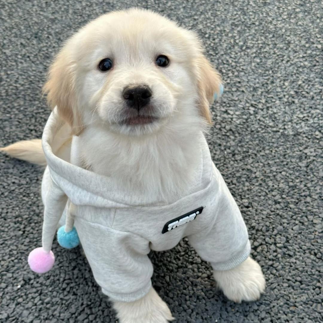 黯影（沉淀中）