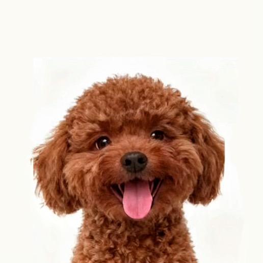 芋泥香酥微辣猪