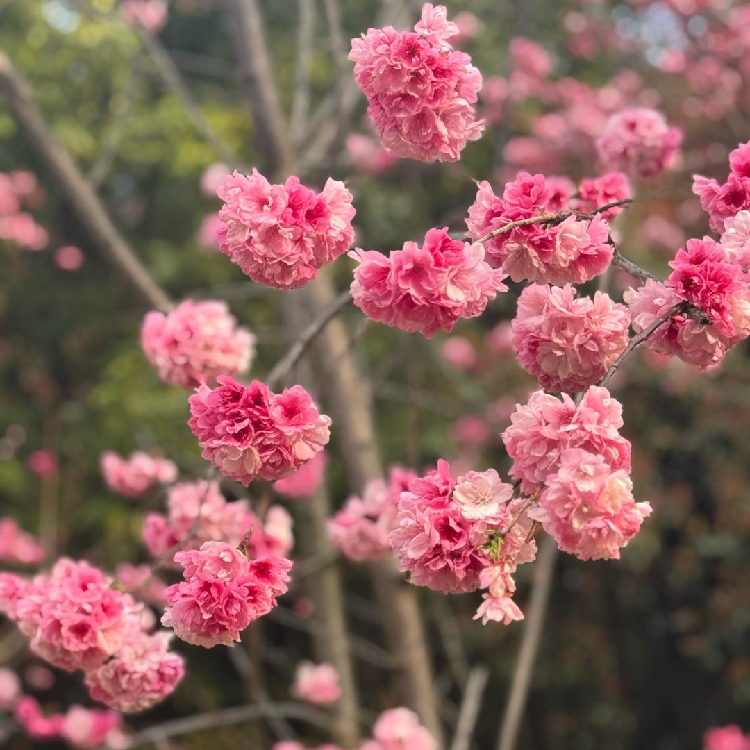 瑶瑶👩🏼‍🦰