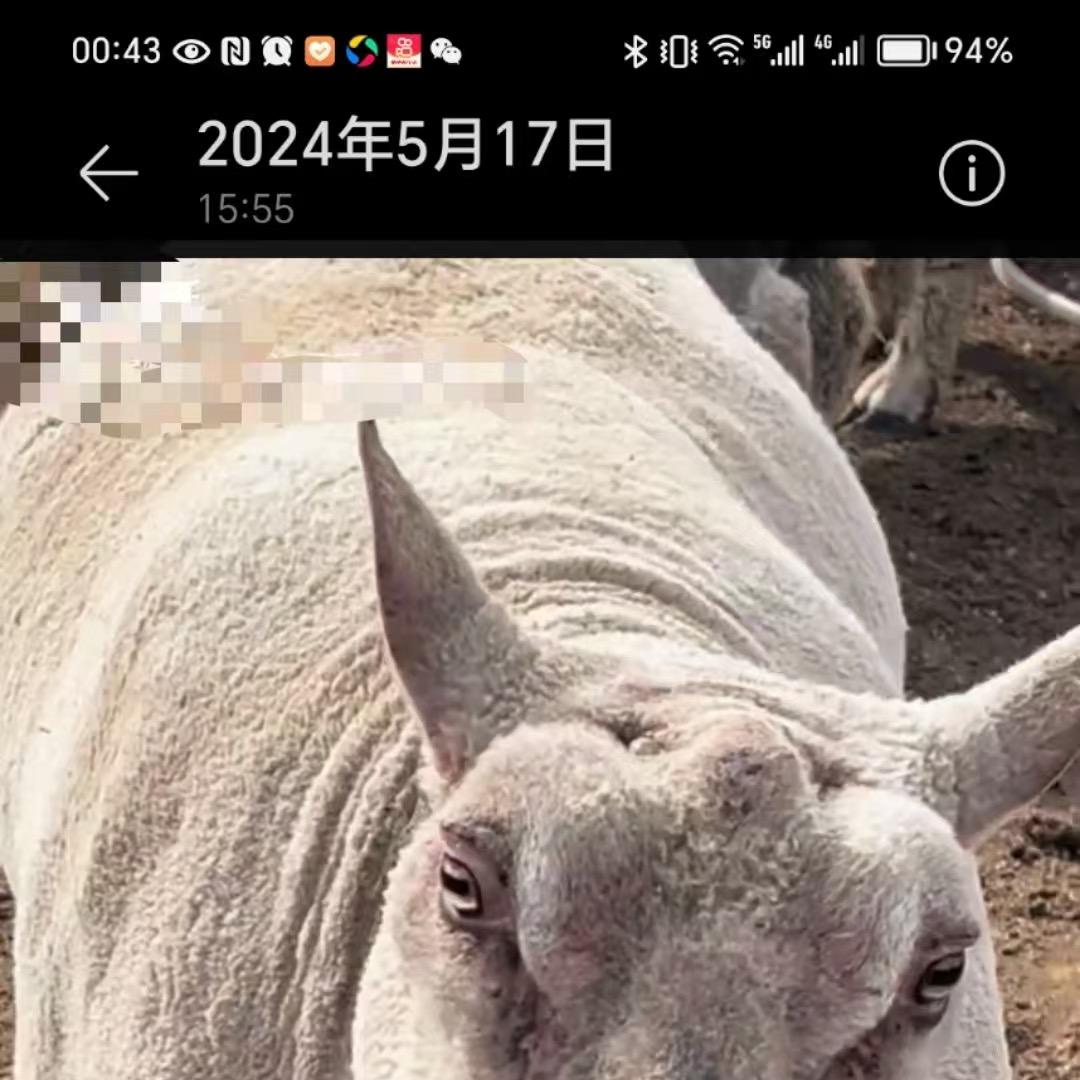 辽宁省九丰牧业科技有限公司