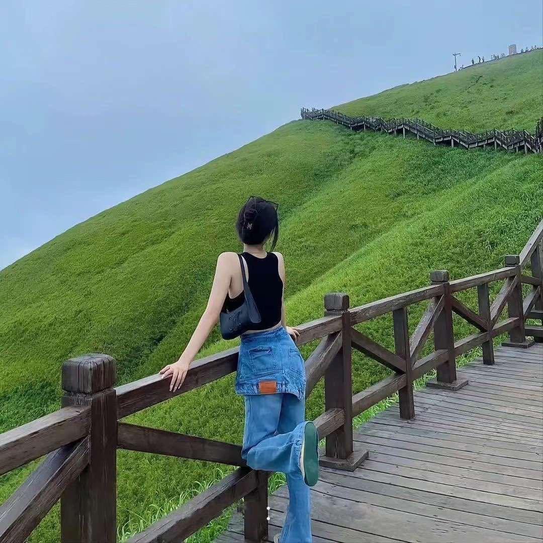 娅娅寻宝记、