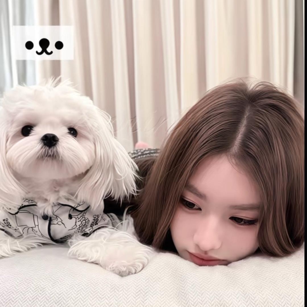 困困琳💤