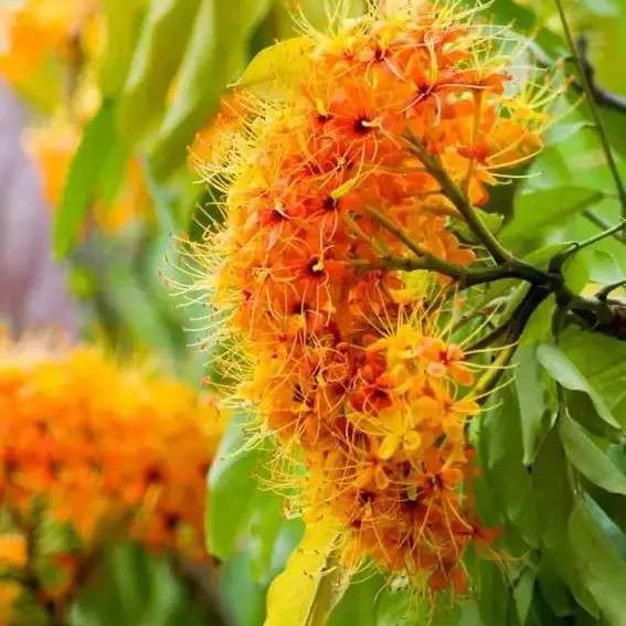 🌈🥀奇芬এ᭄💥🔥☔️