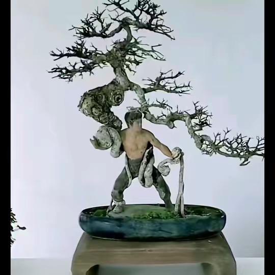 贫僧