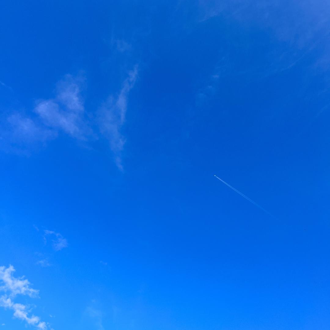 小莫