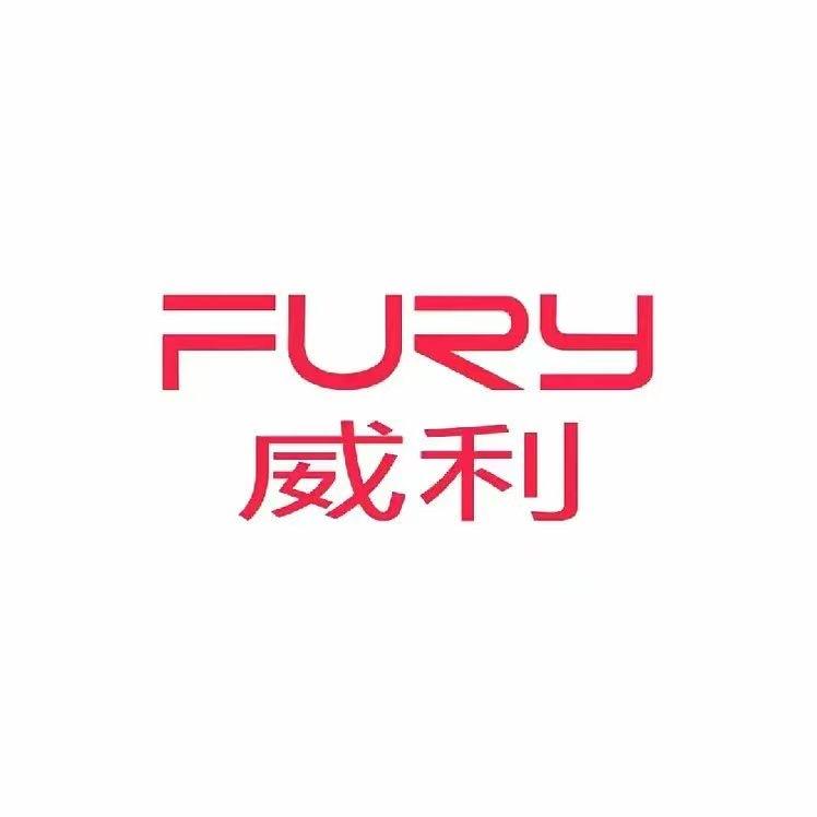 FURY威利球杆台球用品