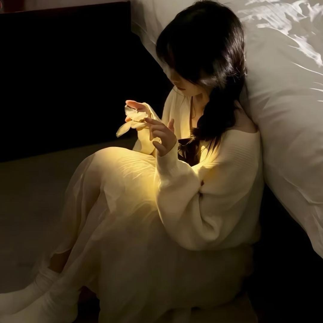 恰逢月色皎皎