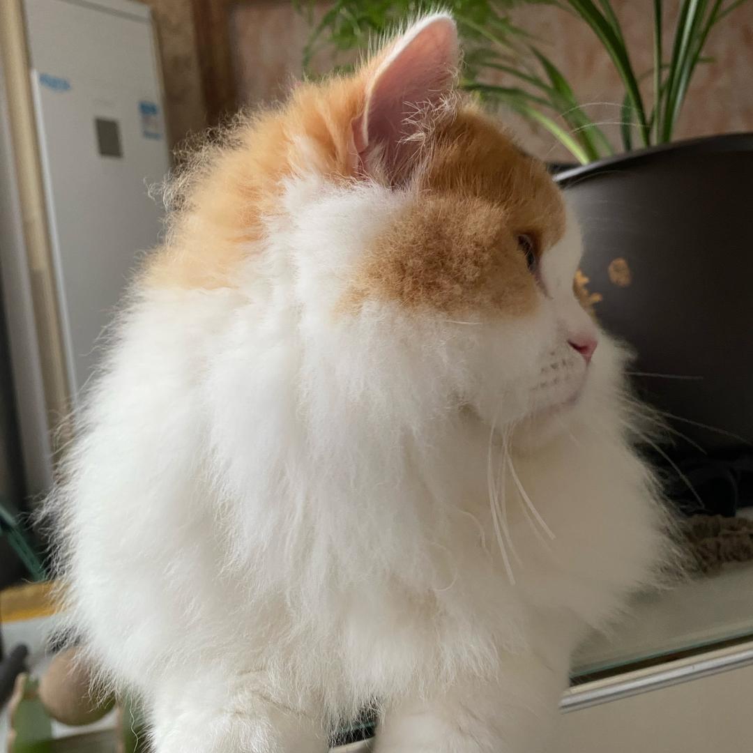 ℒᎭℯ⃝該ঞᩚ醒了℘࿐