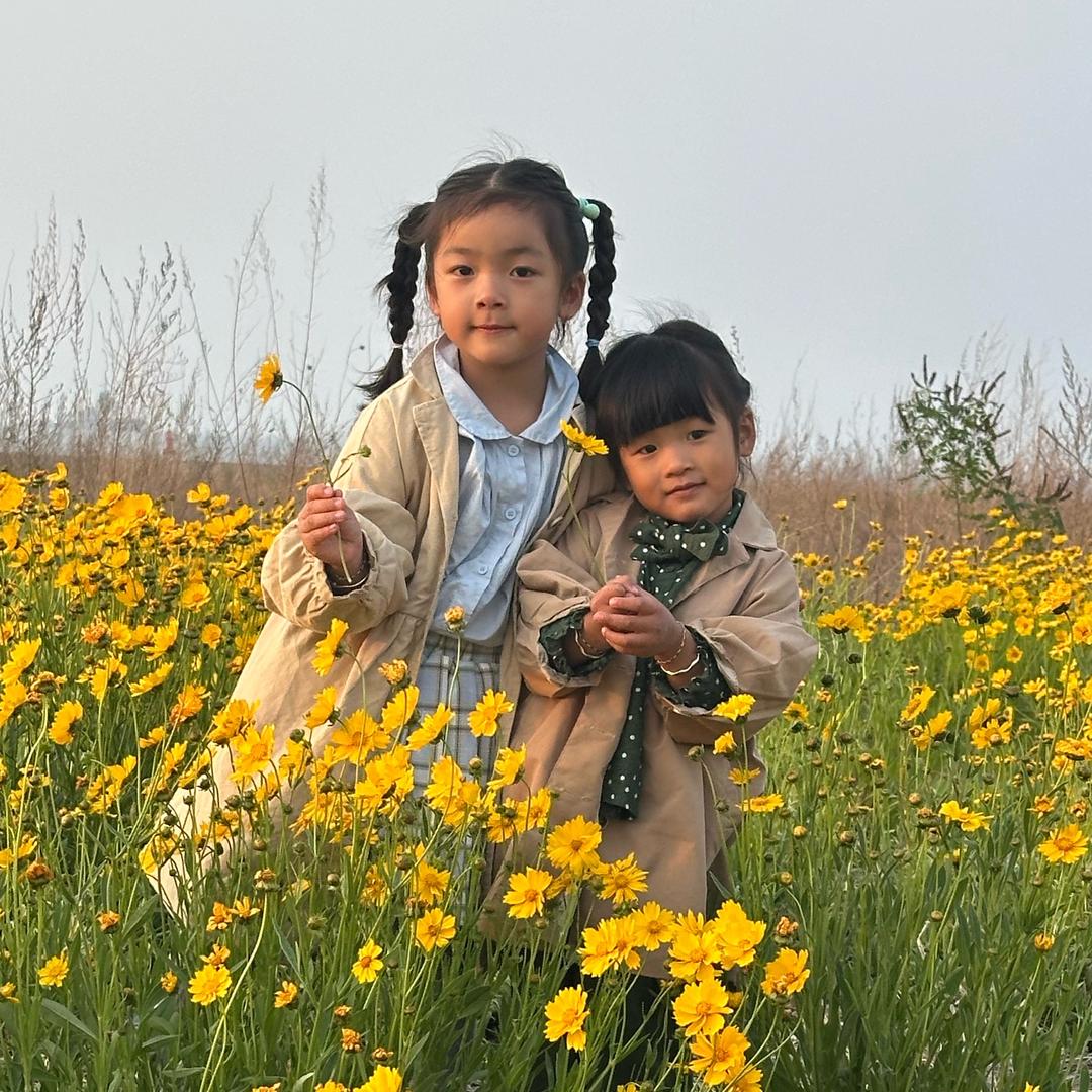 🌻花开耀眼🌻