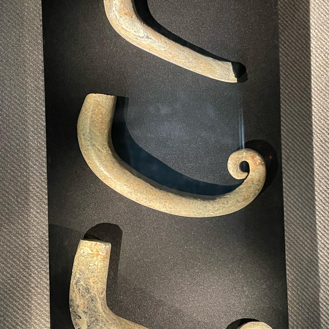 小紫