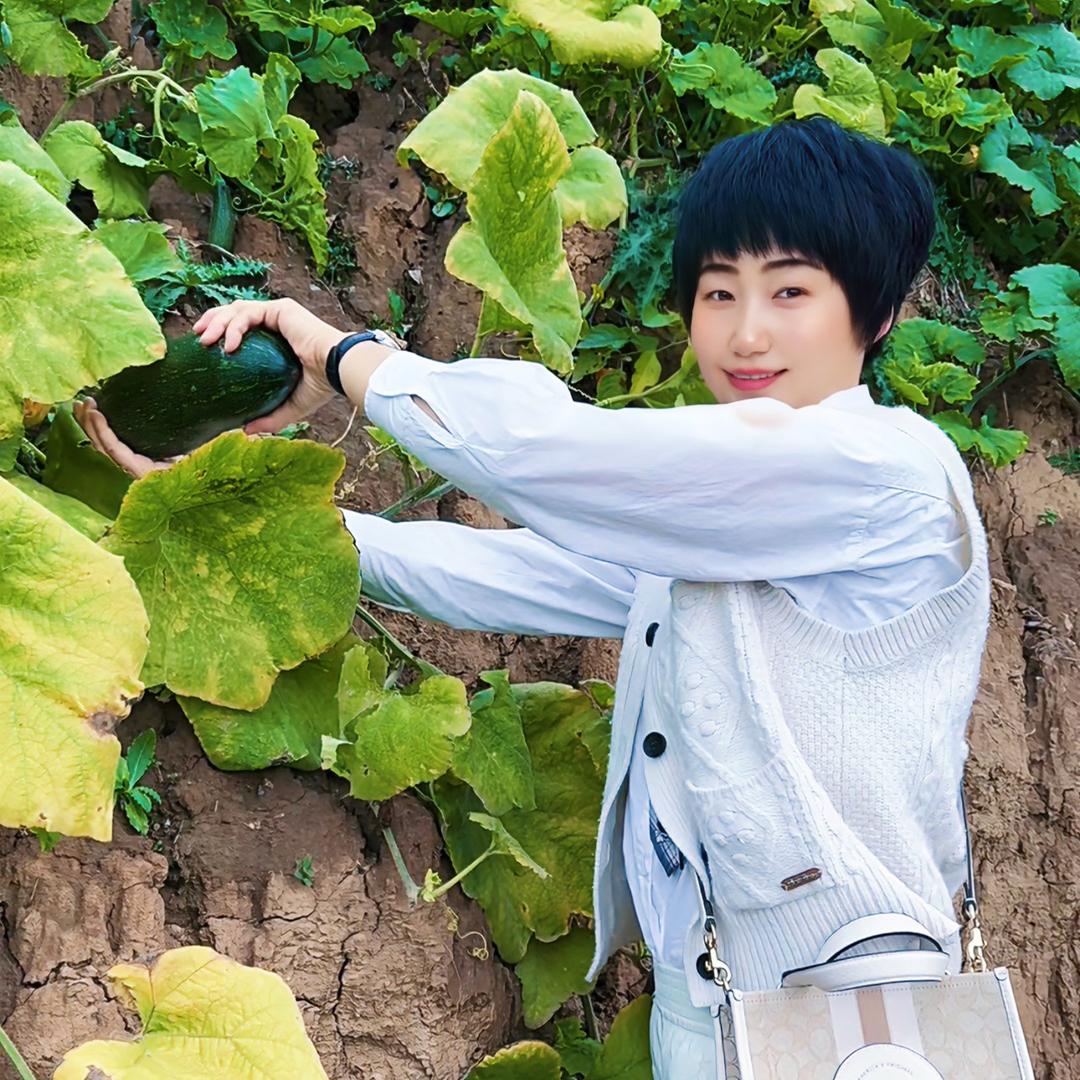 梨花带雨落这城
