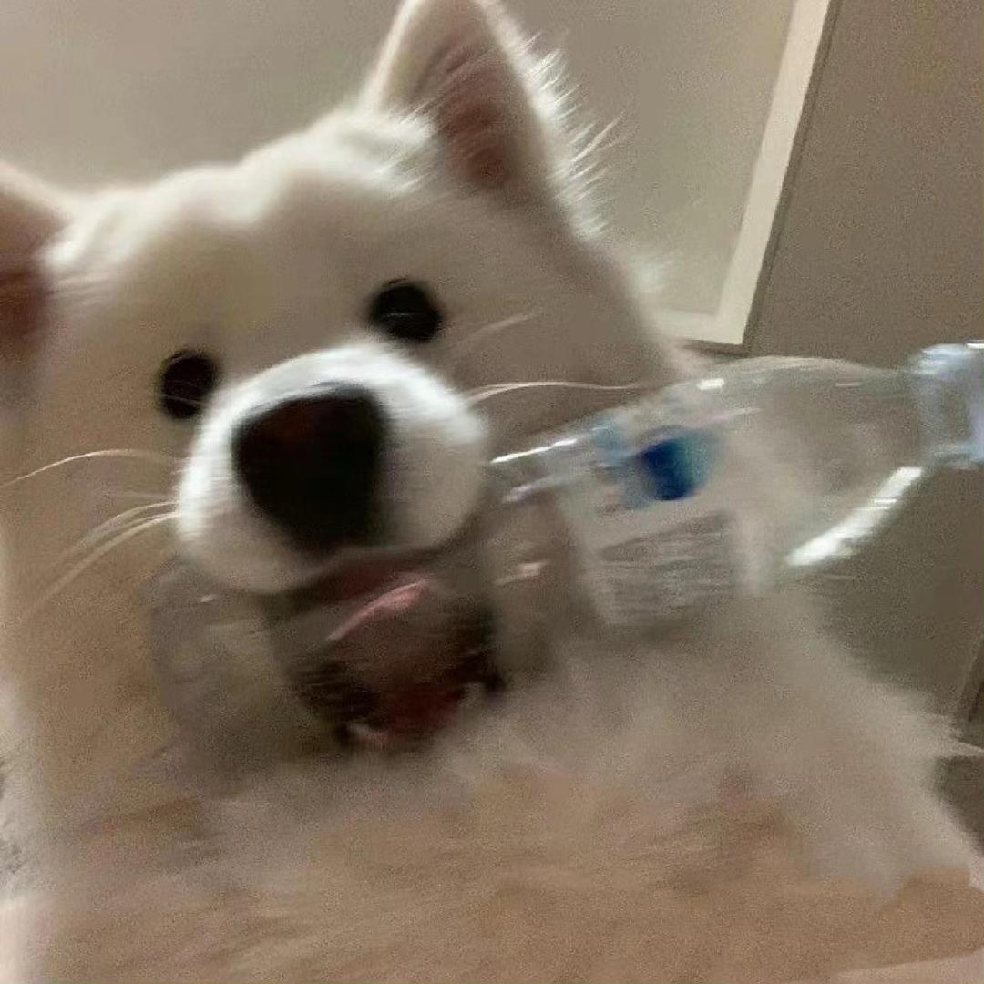 少管我