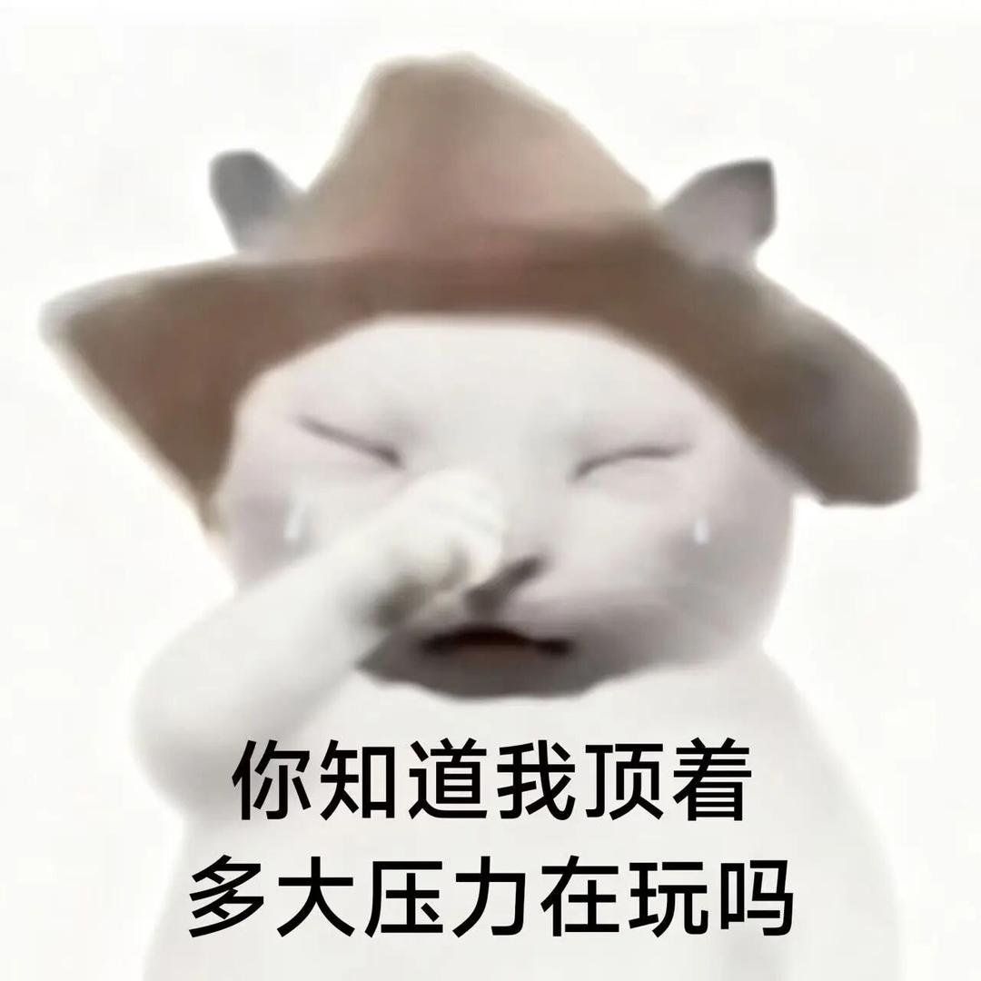 啃啃🐷