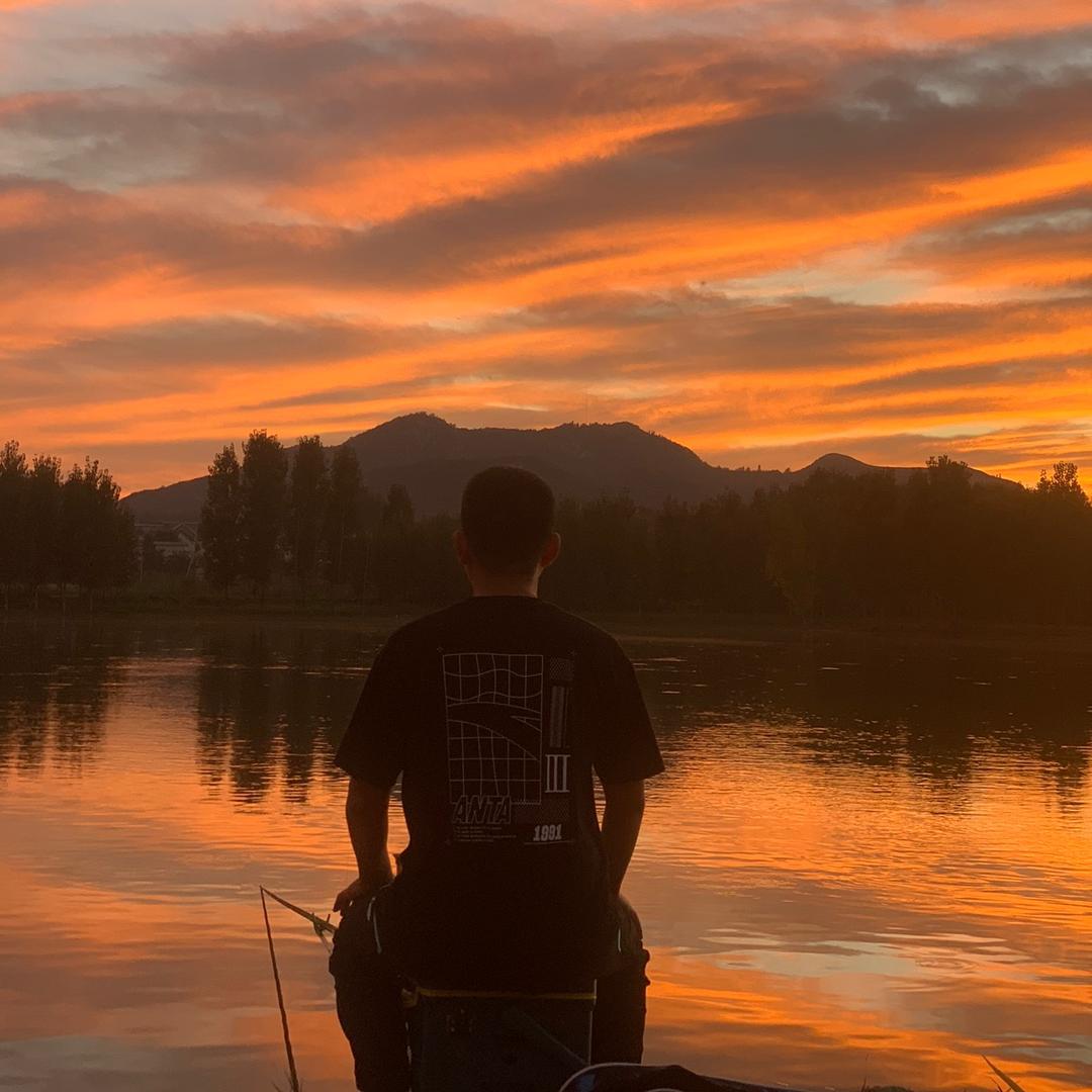 果果 装修水电（家庭繁育幼猫）