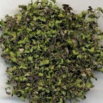 奋珍堂滋补养生甄品铺