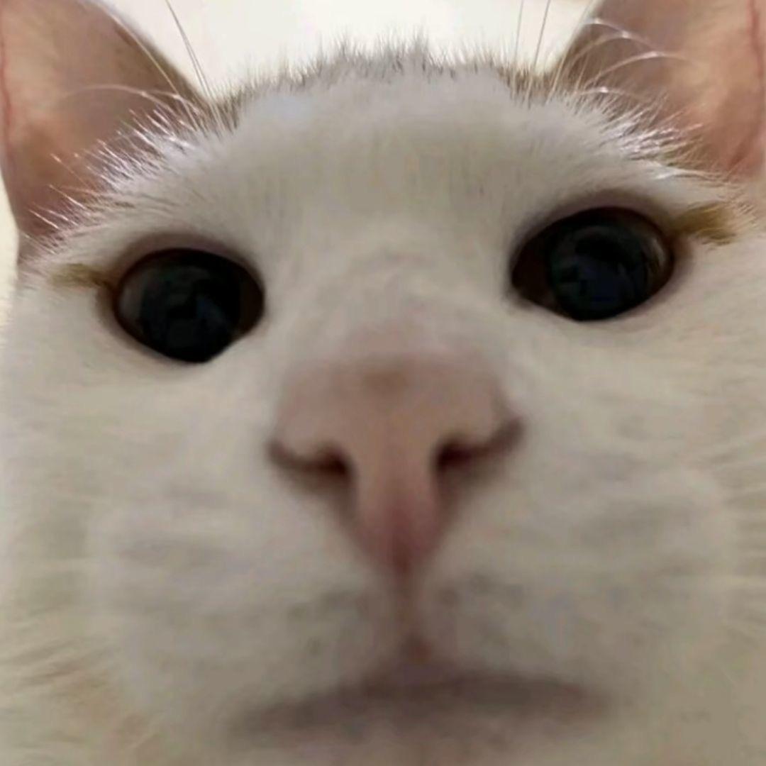 我不是大佬Wow