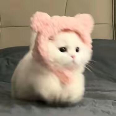 晚上不睡觉