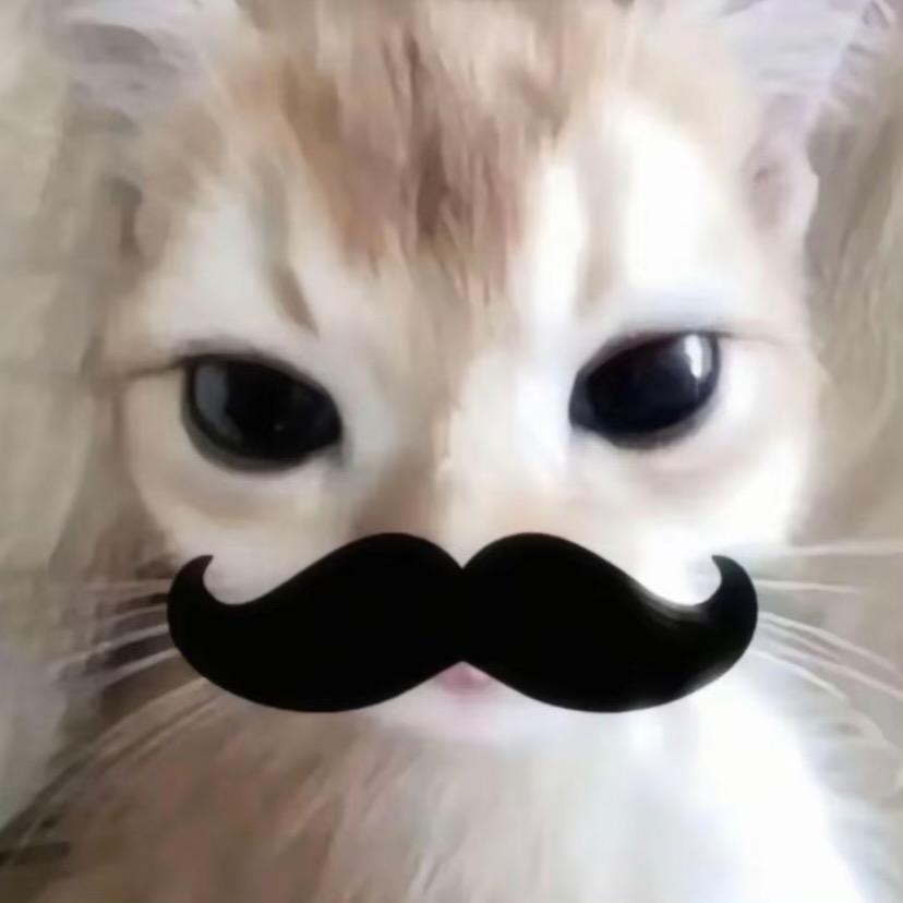 ….