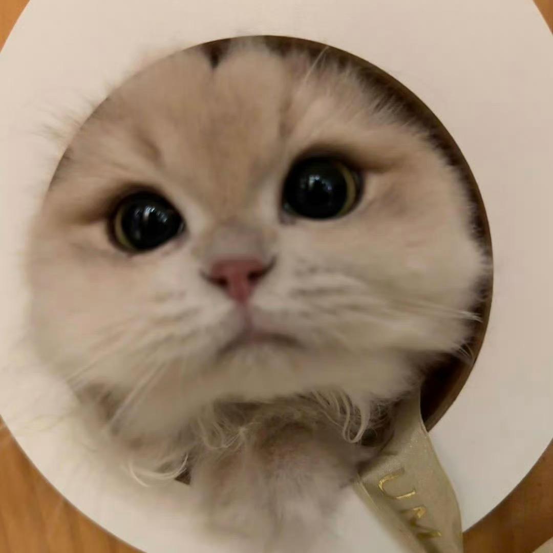 西嘎嘎