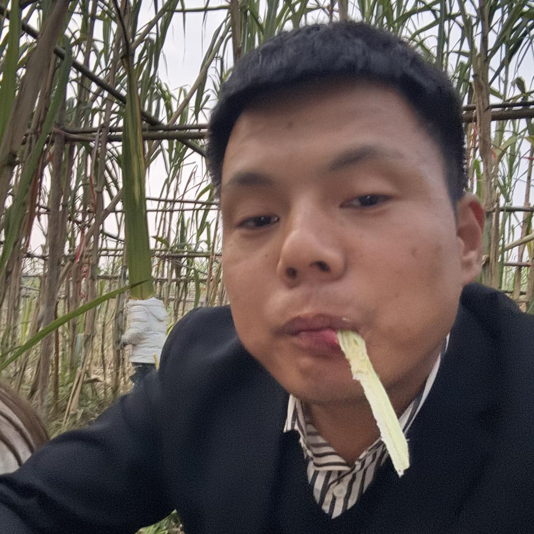 星智农业（孙同学）