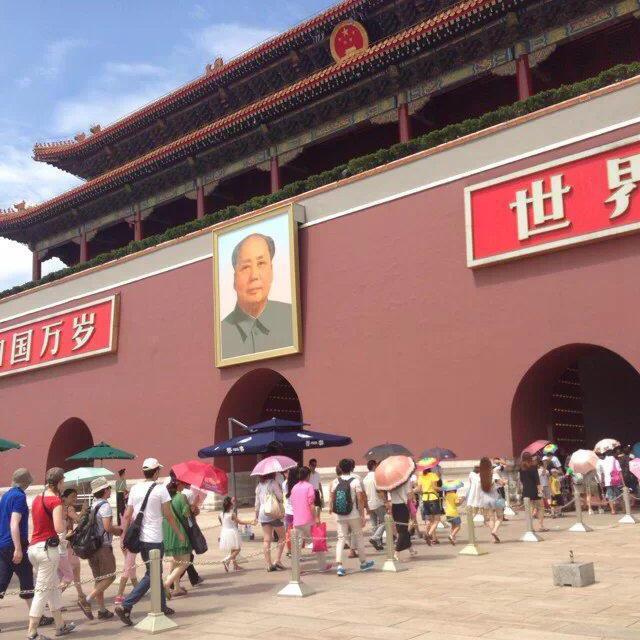 才仔