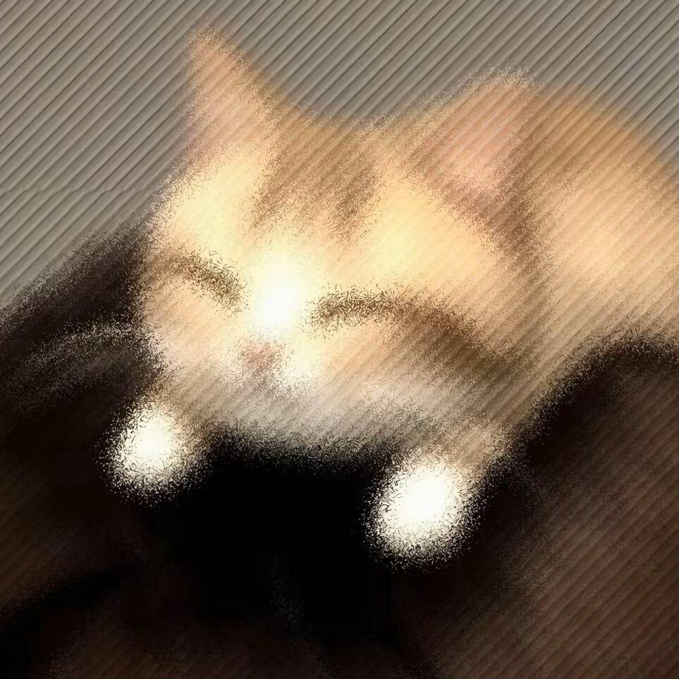 板栗爱和小鱼玩