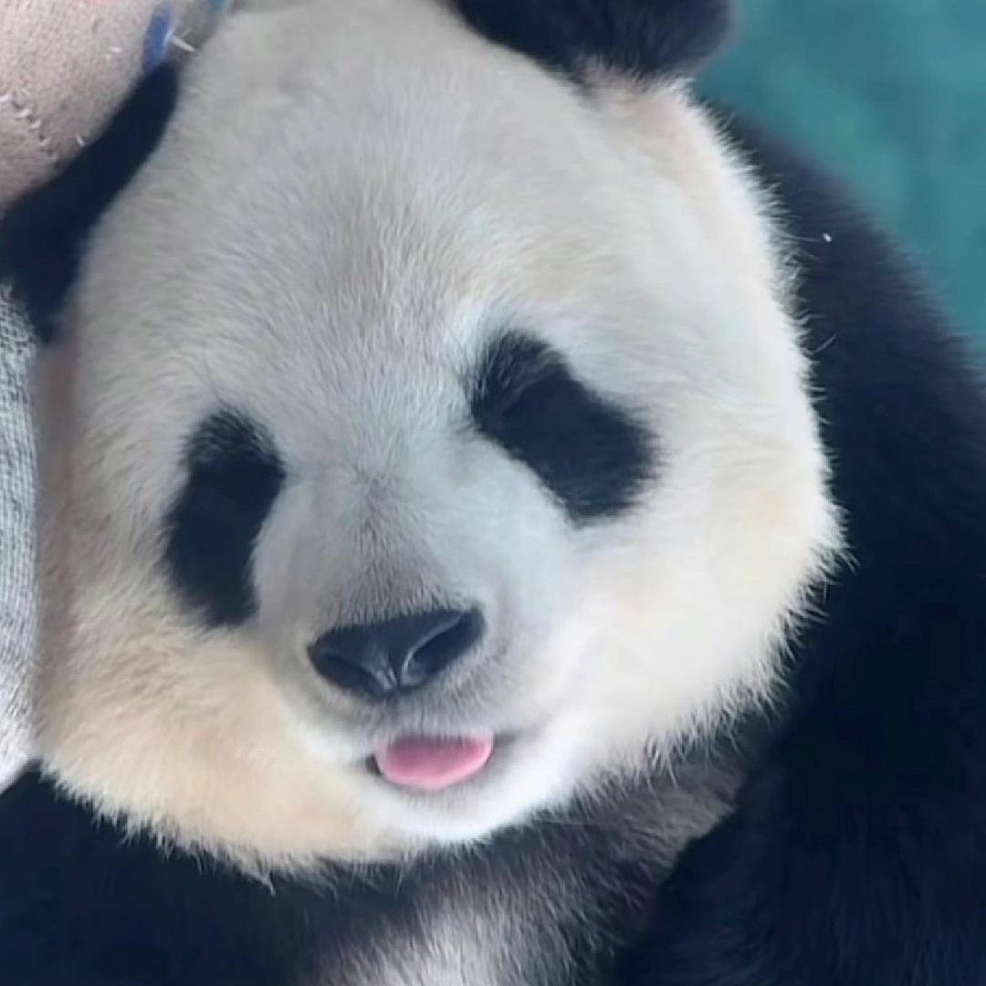小小妍