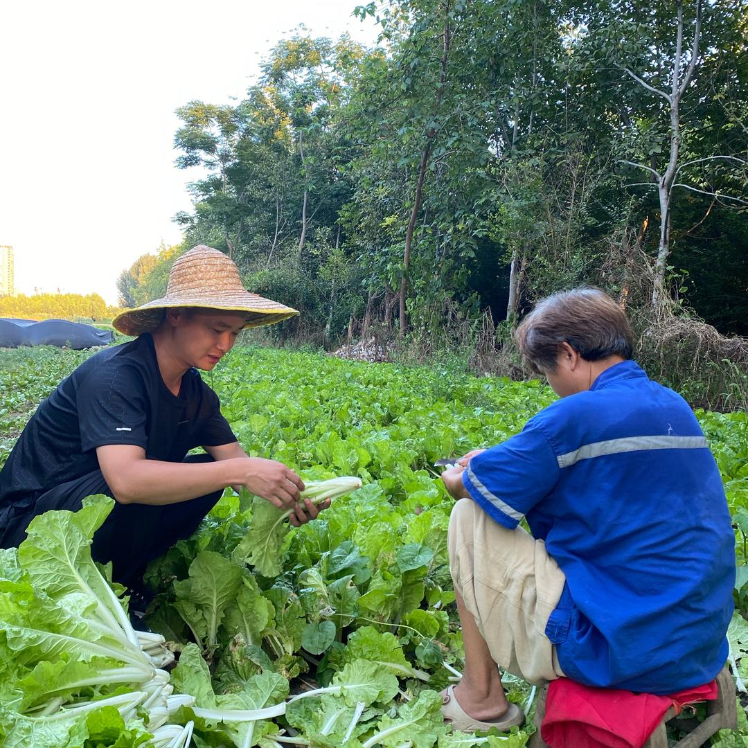 郭同学说农业