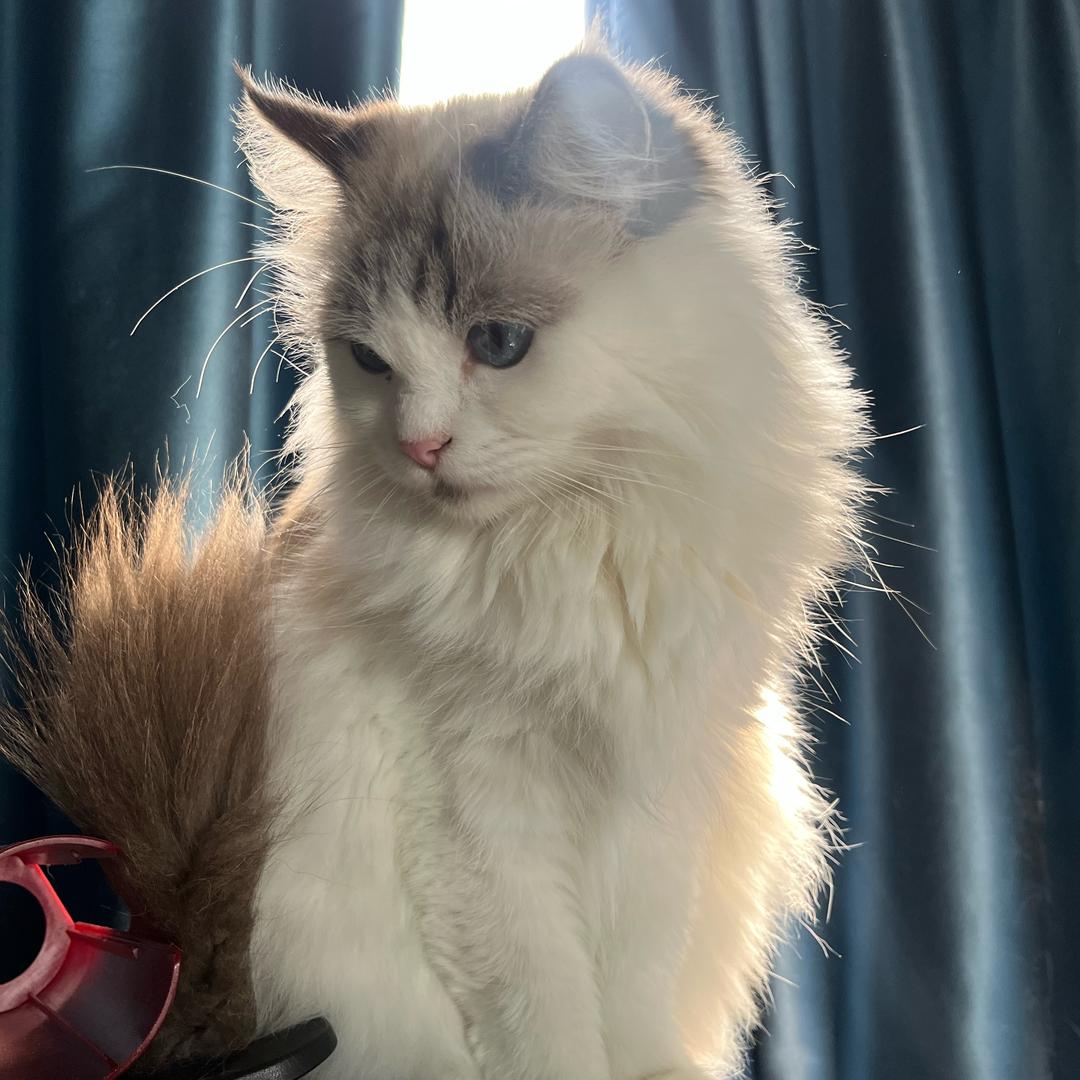 还不下班（摆烂版）🥱