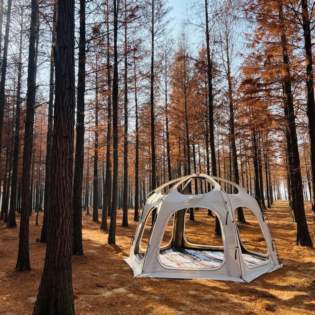 朱氏汉卿堂健康优品店