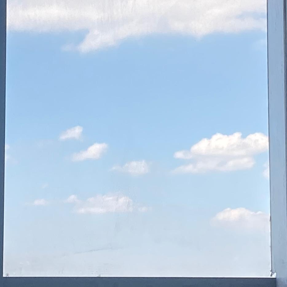 书木