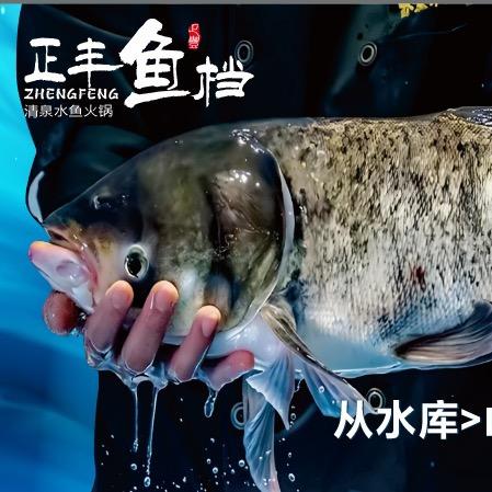 正丰鱼档·清泉水鱼火锅(大沥店)官方号