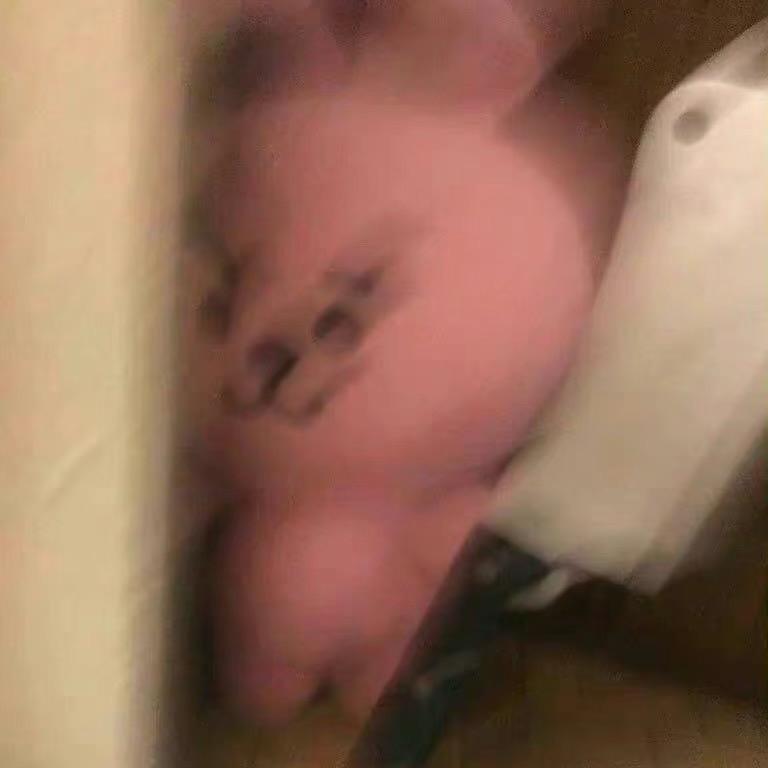 种树坨橐驼