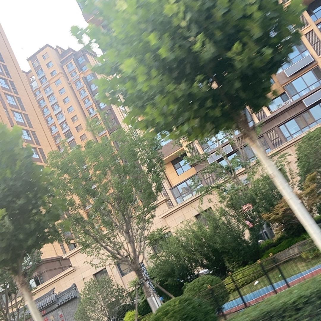鹏程万里56