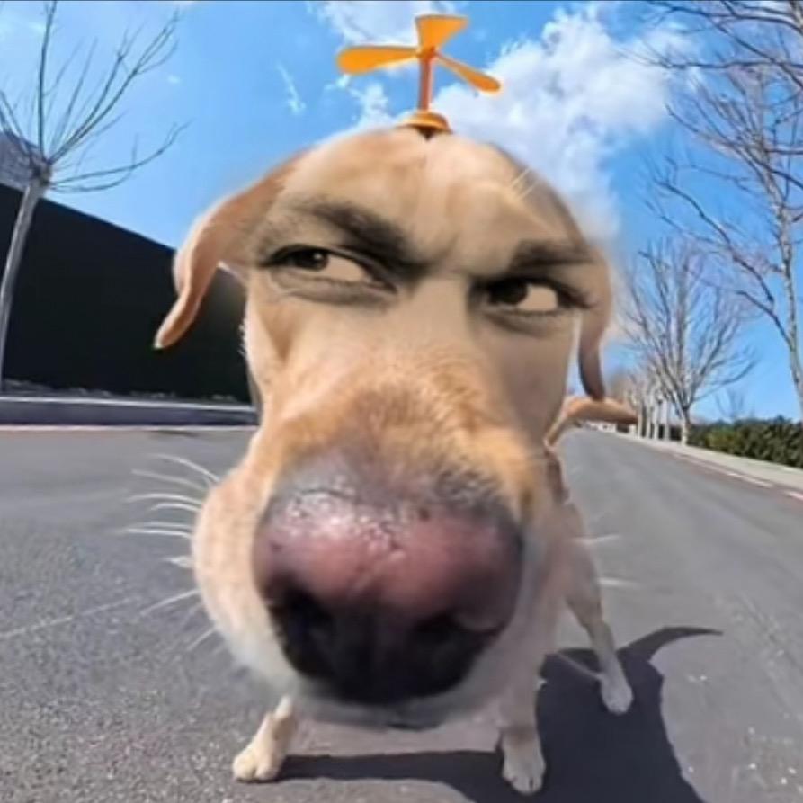 ·L·
